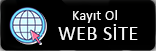 Web Site